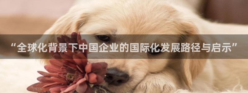 下载彩神v8:“全球化背景下中国企业的国际化发展路径与启示” 下载彩神v8:“全球化背景下中国企业的国际化发展路径与启示”